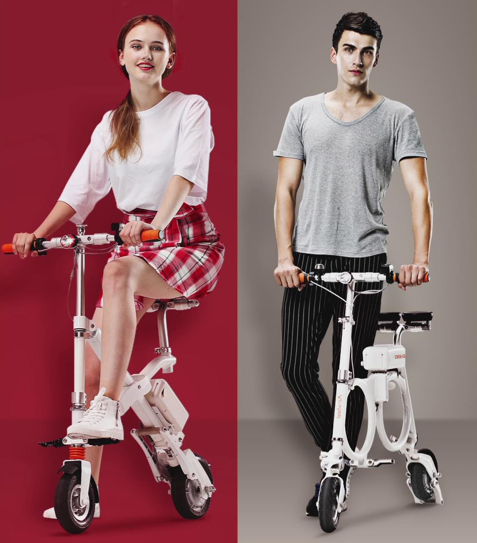 folding electric bike 300W